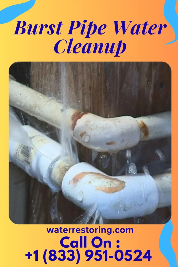 Burst Pipe Water Cleanup in Moscow, MD