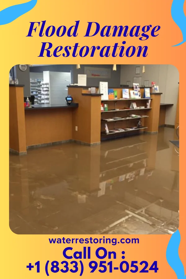 Flood Damage Restoration in Moscow, MD