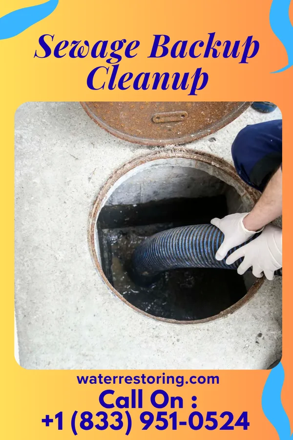 Sewage Backup Cleanup in Moscow, MD