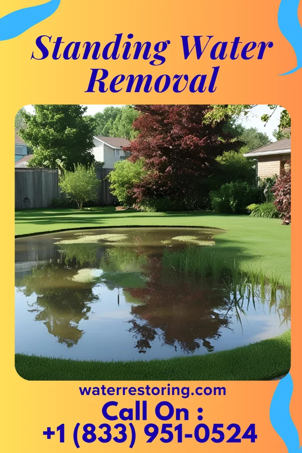 Standing Water Removal in Moscow, MD